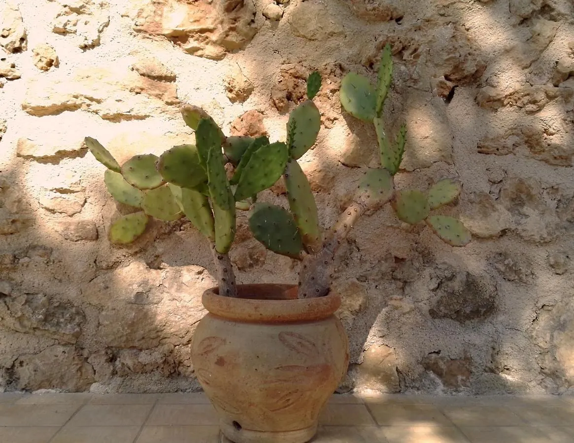 Villa San Lorenzo レイタニ
